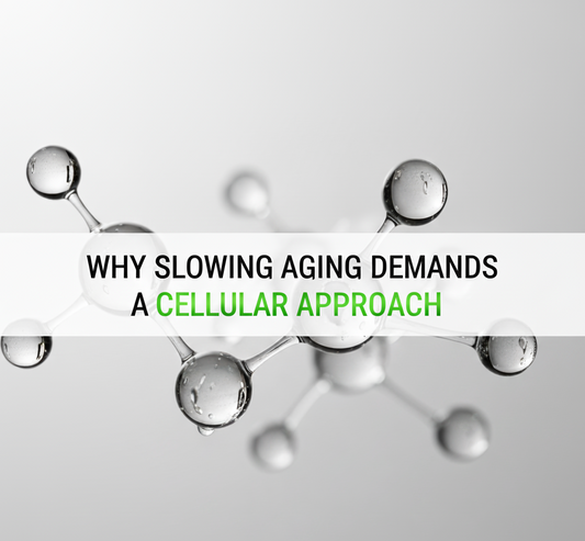 CELLULAR SENESCENCE AND HOW TO SLOW IT DOWN
