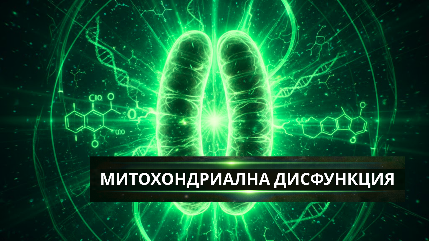 МИТОХОНДРИАЛНА ДИСФУНКЦИЯ - блог статия от Nucleo Greens