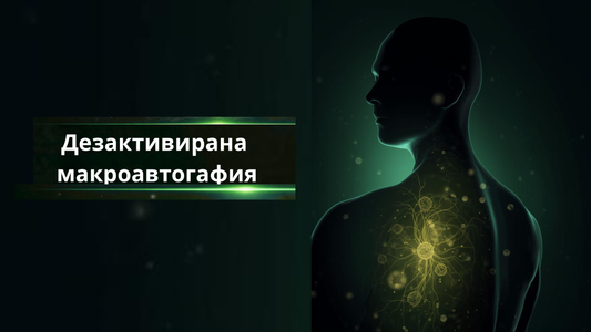 Дезактивирана макроавтогафия - блог от Nucleo Greens
